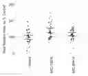Fig. 01 - Endophyte compositions and the methods for improvement of plant traits