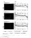 Fig. 01 - HOUSE DUST MITE ALLERGY PROTEIN REMOVER, AND COMPOSITION THEREOF