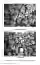 Fig. 02 - Free-Flowing Edible Composition, a Foodstuff Comprising It, Methods Employing It and a Method of Making the Composition