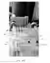 Fig. 05 - SPHERICAL PRODUCT FORMATION IN A CONTINUOUS LIQUID ENROBER