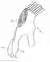 Fig. 01 - DIGGING GLOVE