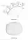 Fig. 03 - Energy dissipating helmet