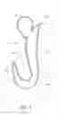 Fig. 04 - INSOLE