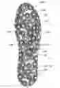 Fig. 01 - Insole