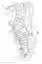 Fig. 03 - Article of footwear having knit upper with edging