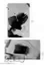 Fig. 02 - Portable carrier for storing one or more objects and methods thereof