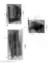 Fig. 03 - Portable carrier for storing one or more objects and methods thereof