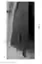 Fig. 06 - Portable carrier for storing one or more objects and methods thereof