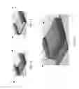 Fig. 08 - Portable carrier for storing one or more objects and methods thereof