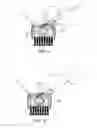 Fig. 04 - Fingernail brush having angularly adjustable bristles