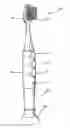 Fig. 01 - Illuminated multi-light flashing toothbrush and method of use