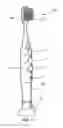 Fig. 02 - Illuminated multi-light flashing toothbrush and method of use
