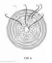 Fig. 05 - Ultimate rinse cup brush cleaning system