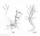 Fig. 06 - Chair assembly