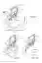 Fig. 13 - Chair assembly