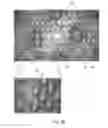 Fig. 10 - Microstructured packaging surfaces for enhanced grip