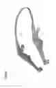 Fig. 05 - MEDICAL SYSTEM