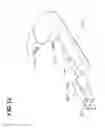 Fig. 13 - MEDICAL SYSTEM