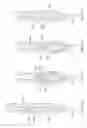 Fig. 34 - Endoscopic systems, devices and methods