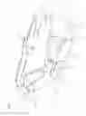 Fig. 02 - Endoscope head