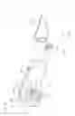 Fig. 11 - Endoscope head
