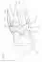 Fig. 14 - Endoscope head