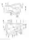 Fig. 233 - Fluid distribution device for a multiple viewing elements endoscope