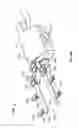 Fig. 58 - Fluid distribution device for a multiple viewing elements endoscope