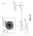 Fig. 19 - Opthalmoscope device