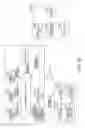 Fig. 13 - BIOLOGICAL INFORMATION ANALYSIS APPARATUS, BIOLOGICAL INFORMATION ANALYSIS SYSTEM, BEATING INFORMATION MEASUREMENT SYSTEM, AND BIOLOGICAL INFORMATION ANALYSIS PROGRAM