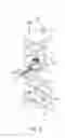 Fig. 05 - BREATH SENSOR