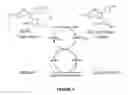 Fig. 05 - COLOROMETRIC SENSOR FOR THE NON-INVASIVE SCREENING OF GLUCOSE IN SWEAT IN PRE AND TYPE 2 DIABETES
