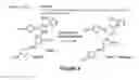 Fig. 10 - COLOROMETRIC SENSOR FOR THE NON-INVASIVE SCREENING OF GLUCOSE IN SWEAT IN PRE AND TYPE 2 DIABETES