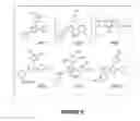 Fig. 11 - COLOROMETRIC SENSOR FOR THE NON-INVASIVE SCREENING OF GLUCOSE IN SWEAT IN PRE AND TYPE 2 DIABETES