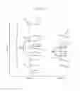 Fig. 19 - System and method for determining a subject's muscle fuel level, muscle fuel rating, and muscle energy status