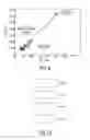 Fig. 07 - Device, system and method for estimating the energy expenditure of a person