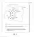 Fig. 07 - SYSTEMS AND METHODS FOR SURGICAL TRACKING AND VISUALIZATION OF HIDDEN ANATOMICAL FEATURES