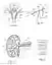 Fig. 11 - Systems and methods for neurological traffic and/or receptor functional evaluation and/or modification