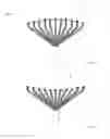 Fig. 05 - MAPPING CATHETER