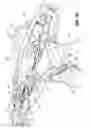 Fig. 94 - FLEXIBLE ENDOSCOPIC STITCHING DEVICES