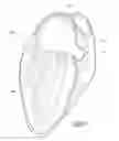 Fig. 02 - Devices and methods for excluding the left atrial appendage