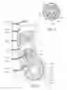 Fig. 02 - Methods and systems for reducing neural activity in an organ of a subject