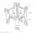 Fig. 01 - Optical tracking tool for navigating surgery