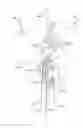 Fig. 01 - Length conservative surgical instrument