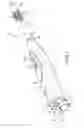 Fig. 02 - Brush tip with motion transfer and securing engagement structures