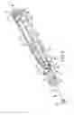 Fig. 03 - Brush tip with motion transfer and securing engagement structures