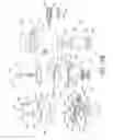 Fig. 19 - Brush tip with motion transfer and securing engagement structures