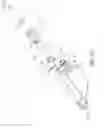 Fig. 28 - Brush tip with motion transfer and securing engagement structures
