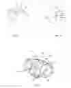 Fig. 02 - PROSTHETIC HUMERAL HEAD COMPONENT