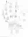Fig. 01 - Mechanical grasping device